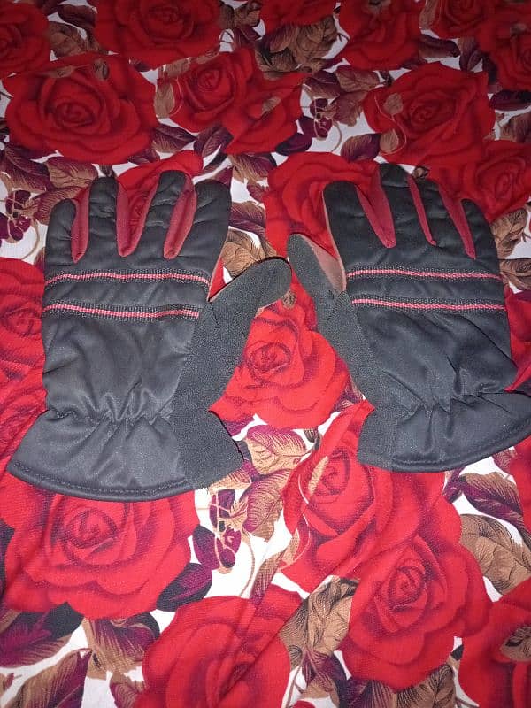 Gloves 2