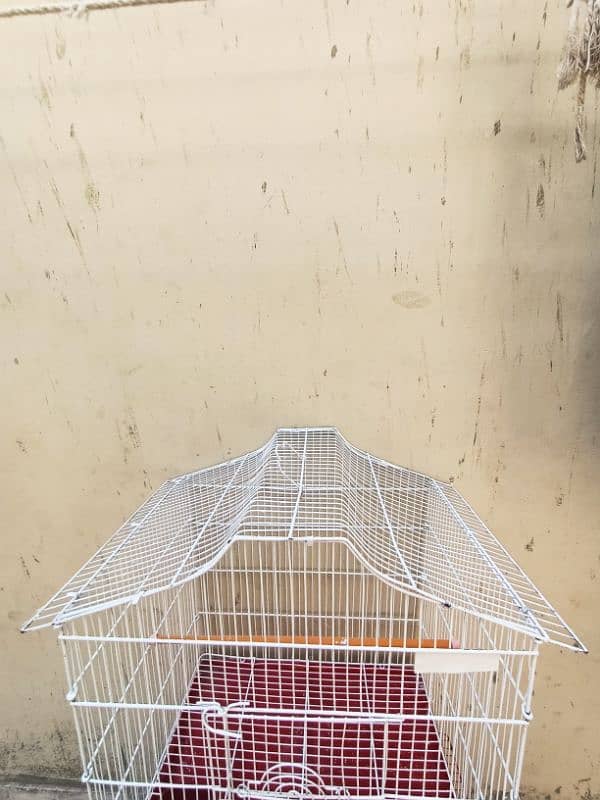 large size cage 2