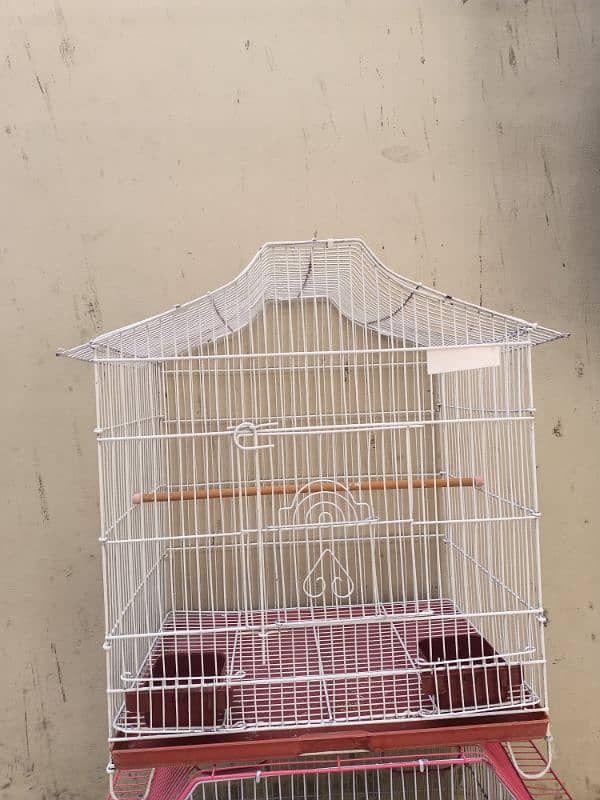 large size cage 3