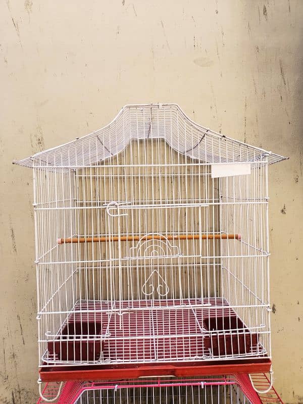 large size cage 4