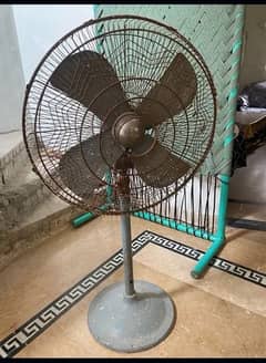 Fan