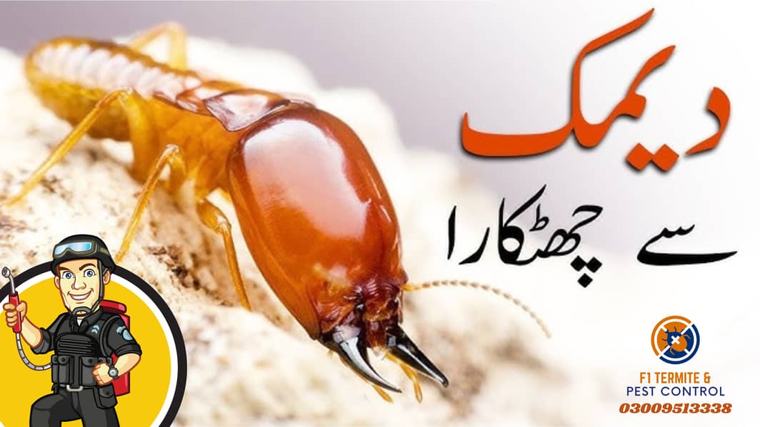 Deemak Control, Fumigation Service, Pest Control, Termite Control/PEST 1