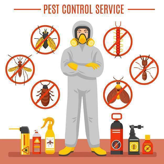 Pest Control/Termite Control/Fumigation Spray/Deemak Control Services 2