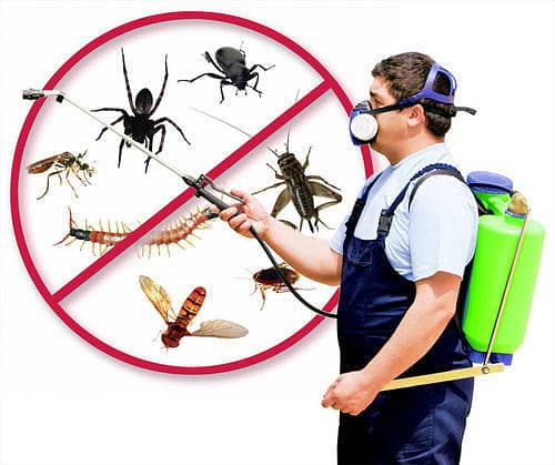 Pest Control/Termite Control/Fumigation Spray/Deemak Control Services 3