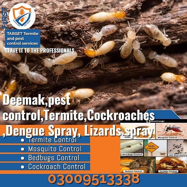 Pest Control/Termite Control/Fumigation Spray/Deemak Control Services 12