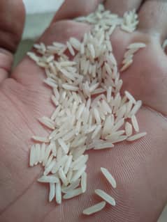 Rice kainat 1122 rs 235 per kg