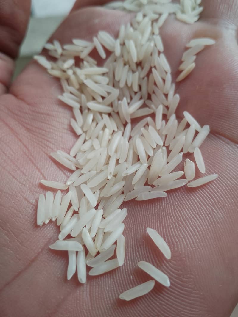 Rice kainat 1122 rs 235 per kg 1