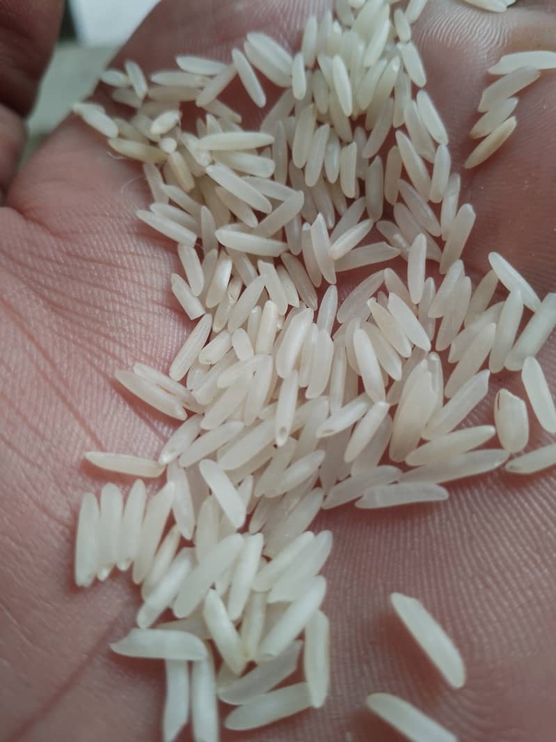 Rice kainat 1122 rs 235 per kg 2