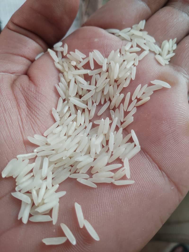 Rice kainat 1122 rs 235 per kg 3