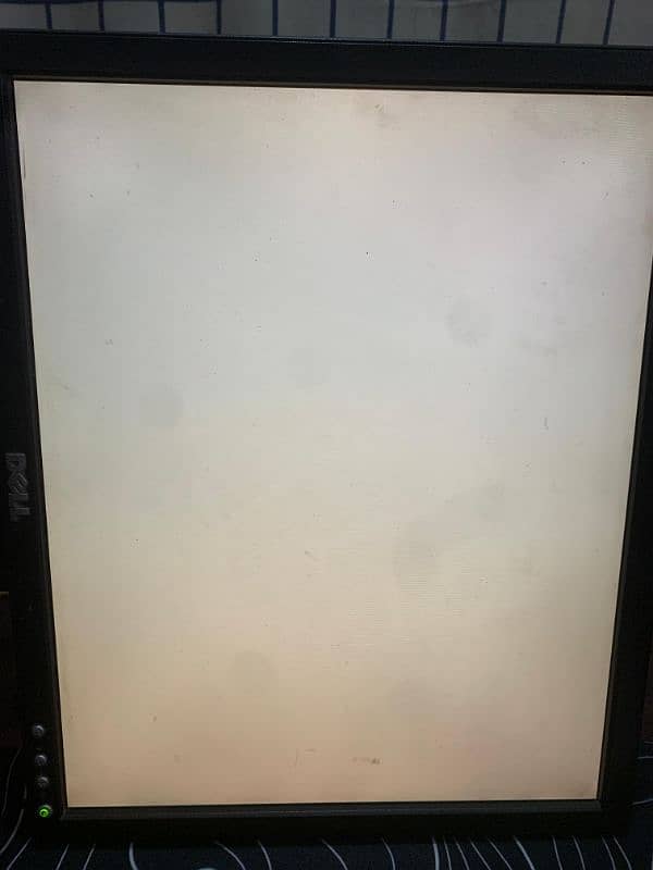 Dell 17" Monitor 9