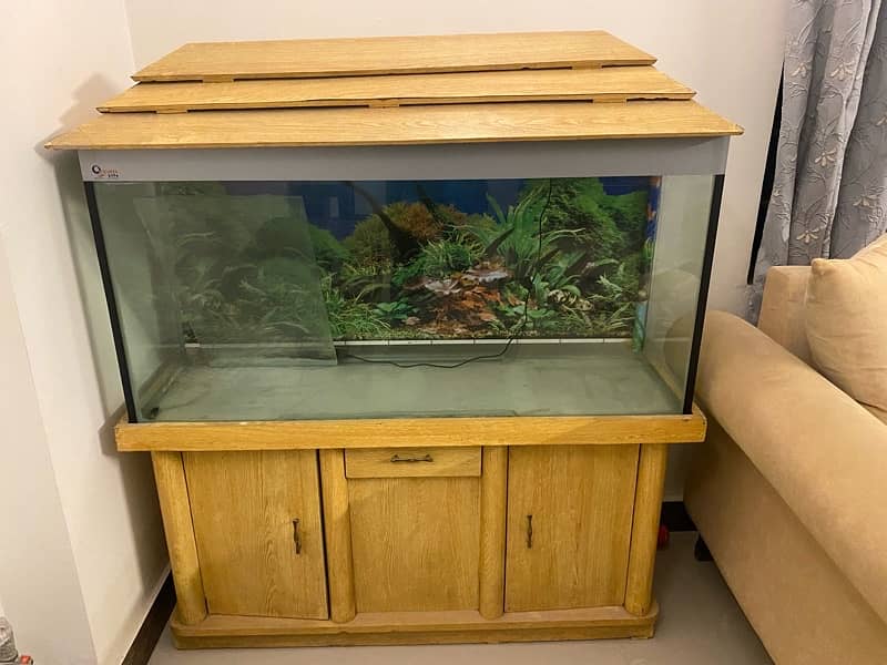 Aquarium for Sale 1