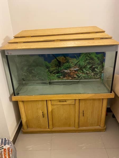 Aquarium for Sale 2