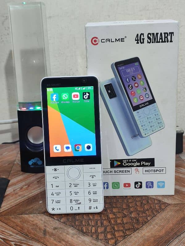 Calme 4G Smart Touch Keypad with Box 2