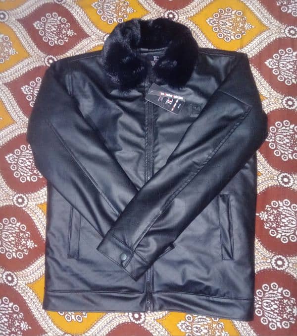 Regzine Jacket 1