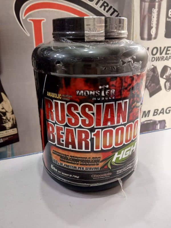 Russian Bear 10000 Chocolate 6LB 0