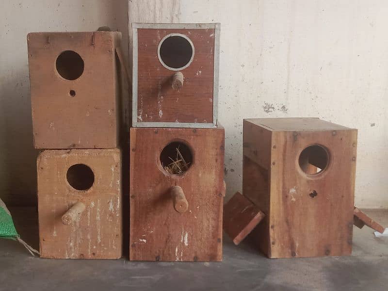 Parrots Box 0