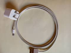 iPhone charger