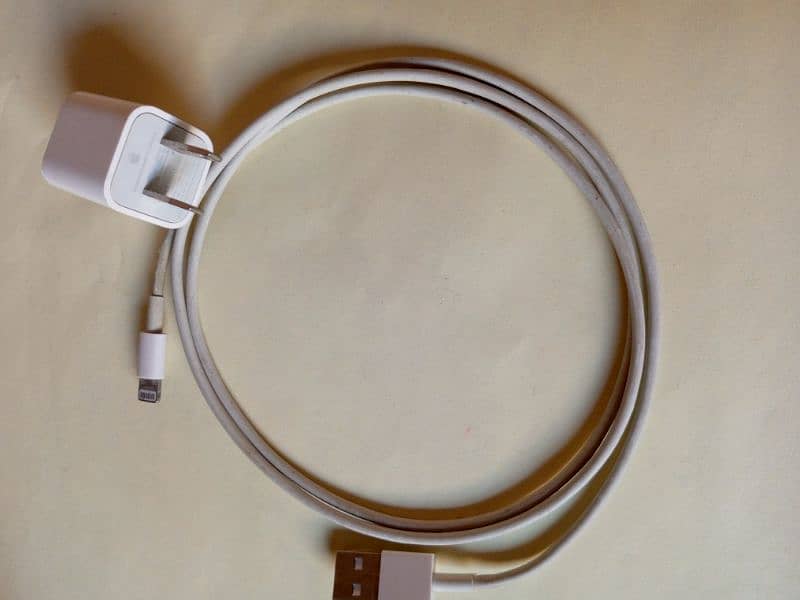 iPhone charger 0