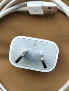 iPhone 11 pro max charger