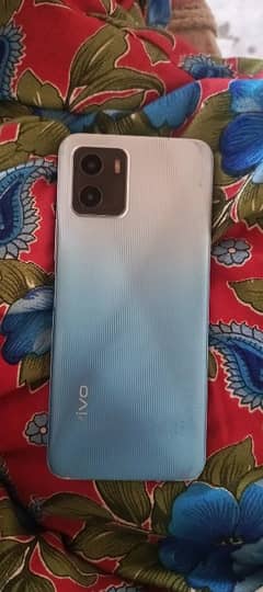 vivo