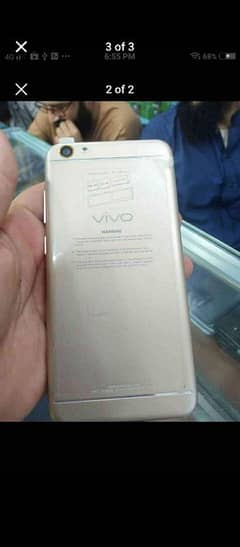 vivo y