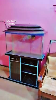 3ft New aquarium for sale