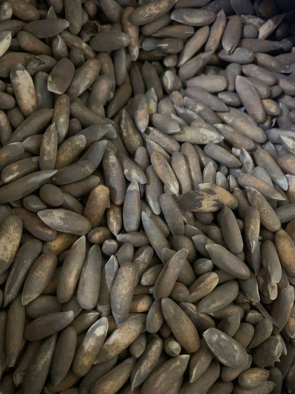 dry fruits 0