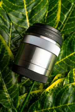 Sony Macro 30mm f3.5 lens E mount