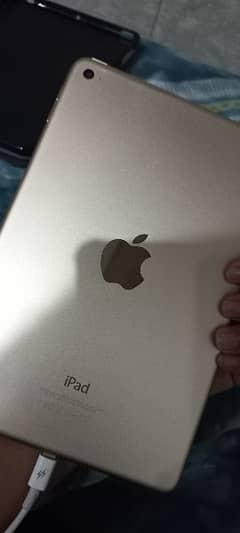 Ipad mini 4