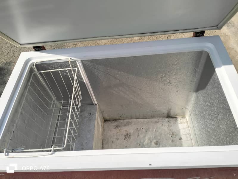 C d freezer singel door (0306=4462/443) lushaset 8