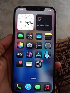 Iphone 12 pro max factory unlock