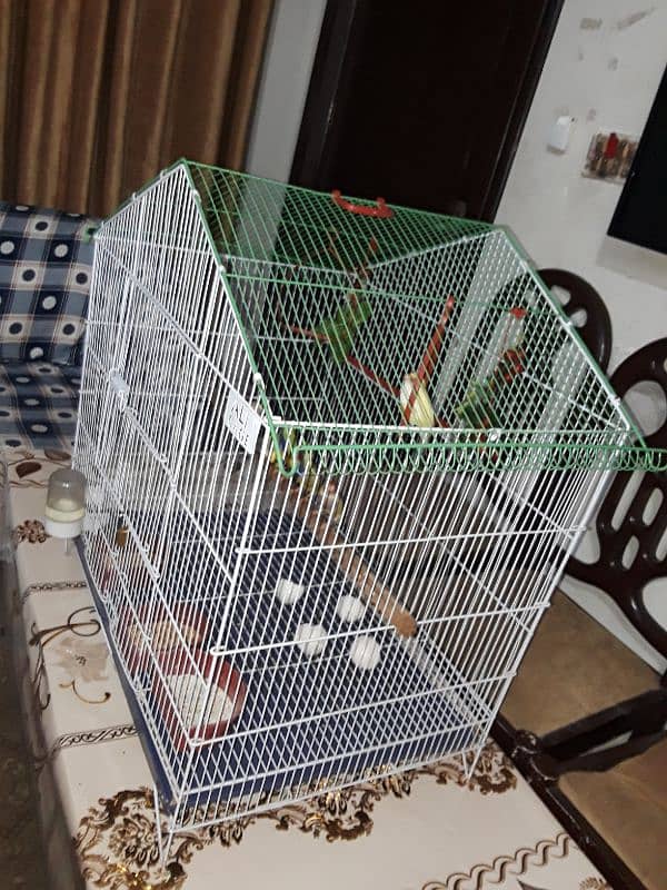 only cage for sale 0