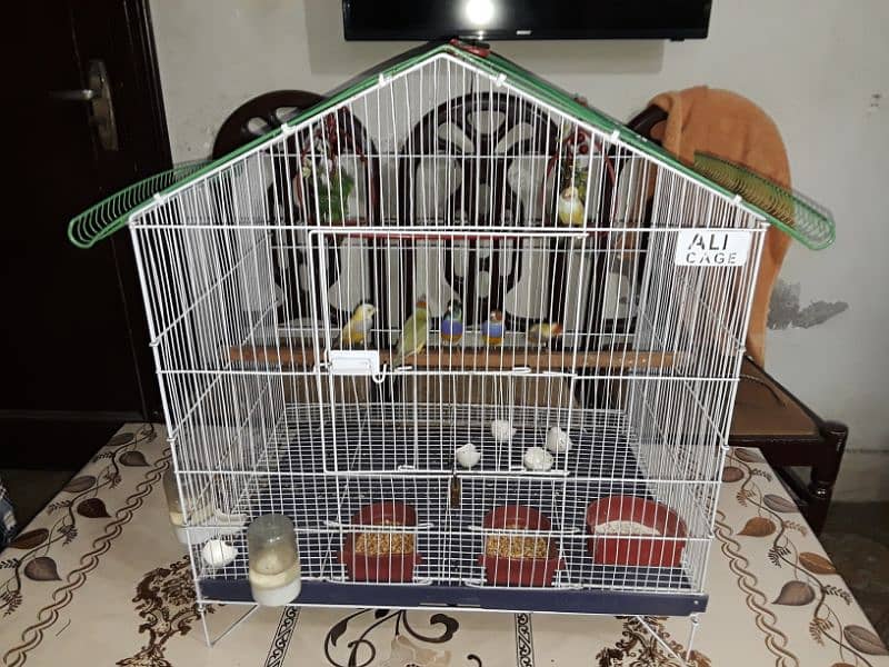 only cage for sale 1