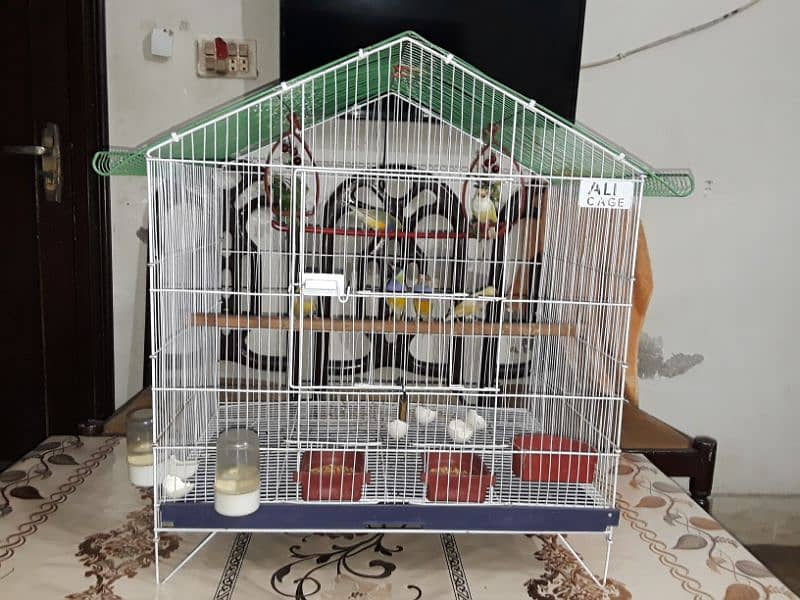 only cage for sale 2