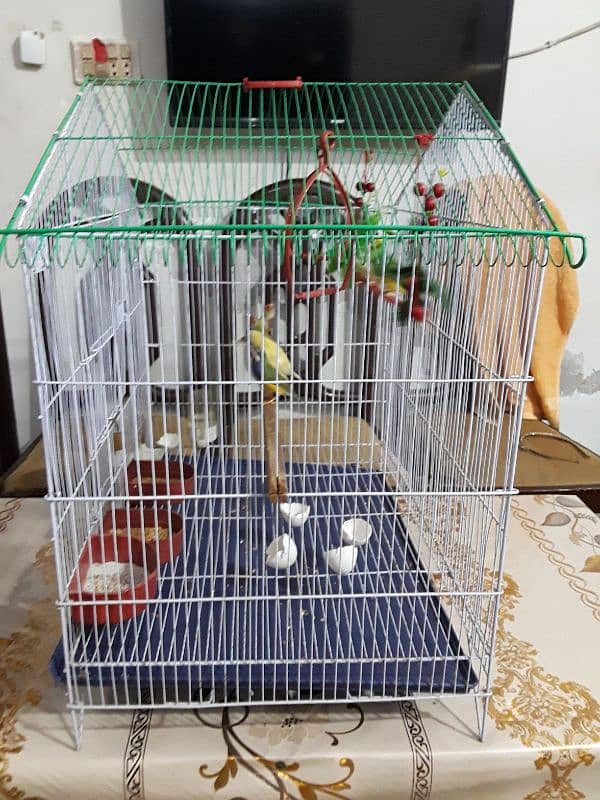 only cage for sale 5