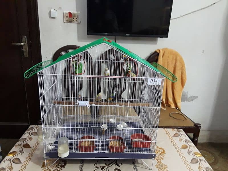 only cage for sale 6