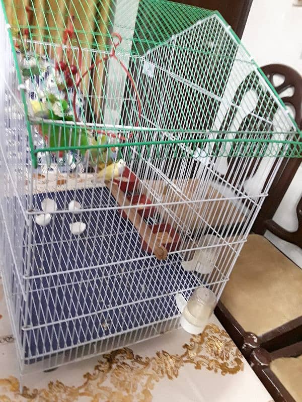 only cage for sale 7