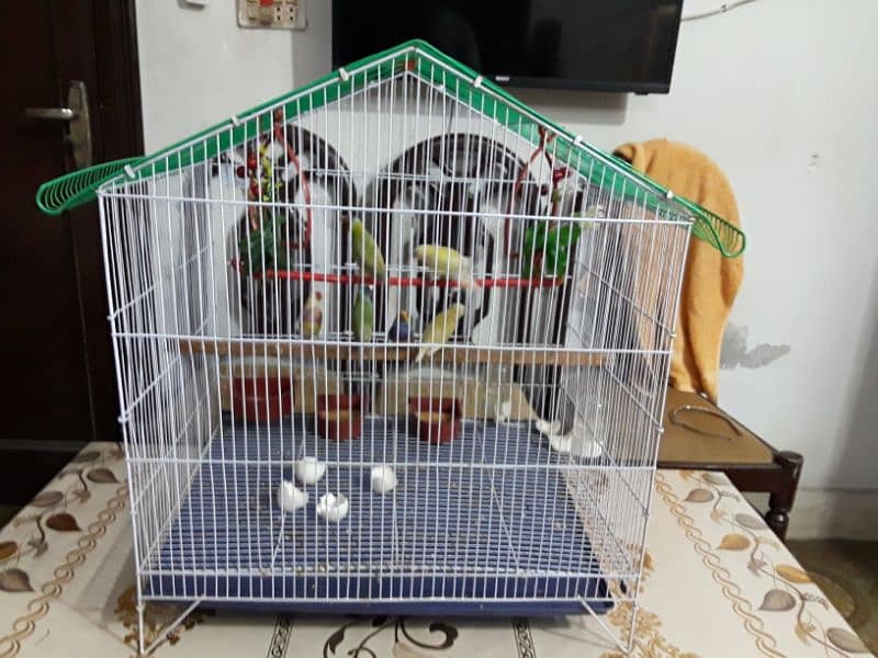 only cage for sale 8