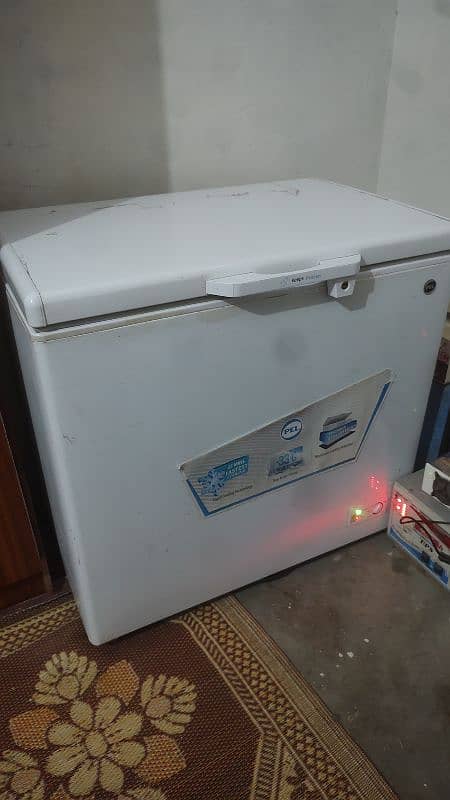 65000 pel d freezer single door brand new condition 0