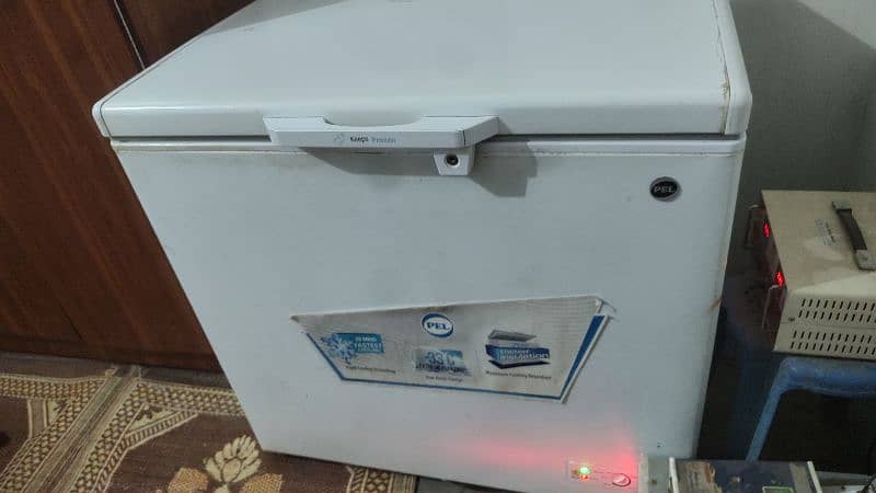 65000 pel d freezer single door brand new condition 4