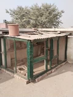 Birds Cage with steel roof for sale