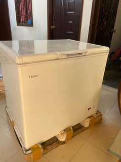 Haier D Freezer Single door