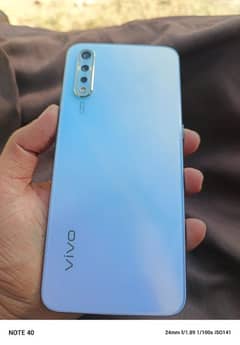 vivo