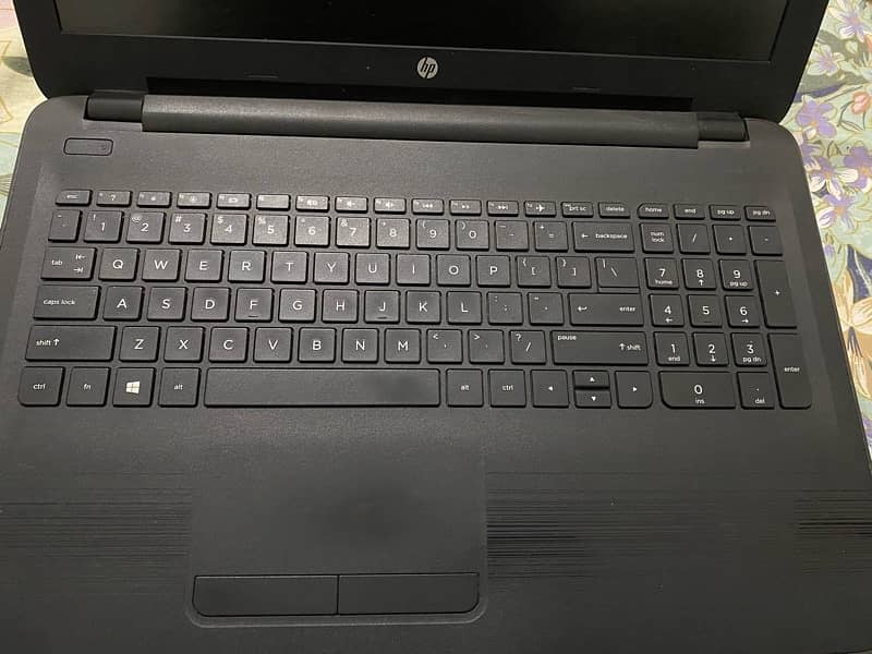 Hp 355g5 (Note Book) 1