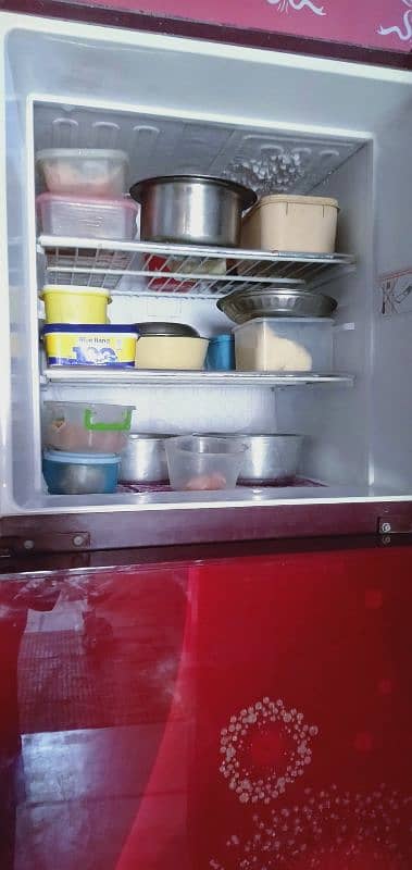 Orient Refrigerator with Glass Door Full Size 3