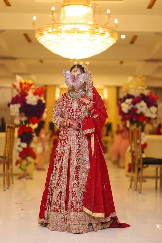 bridal barat dress/dulhan dress/bridal lehnga 2