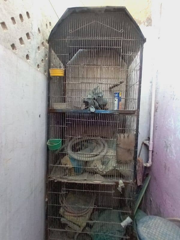 bird cage for sell 3200 0