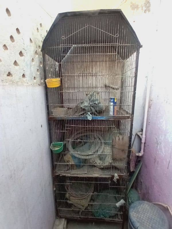 bird cage for sell 3200 1