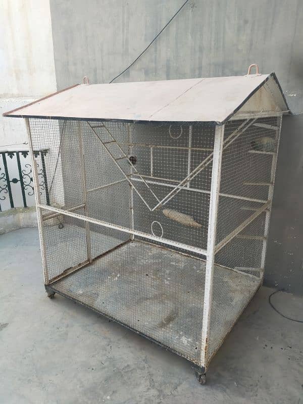 Birds Cage 2