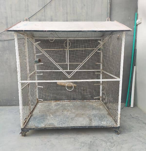 Birds Cage 3